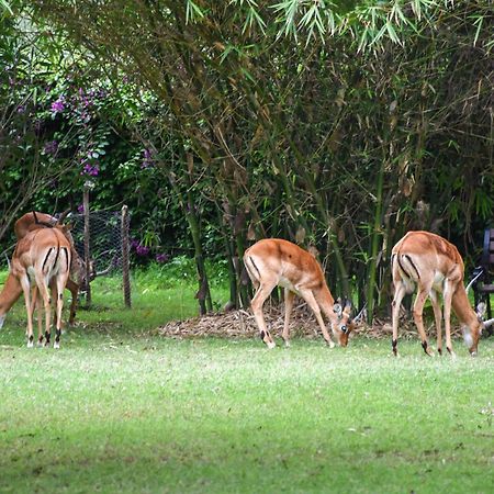 Lukenya Getaway Hotell Athi River Eksteriør bilde