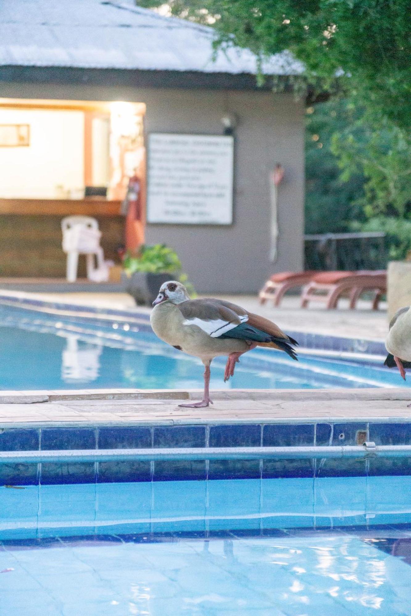Lukenya Getaway Hotell Athi River Eksteriør bilde