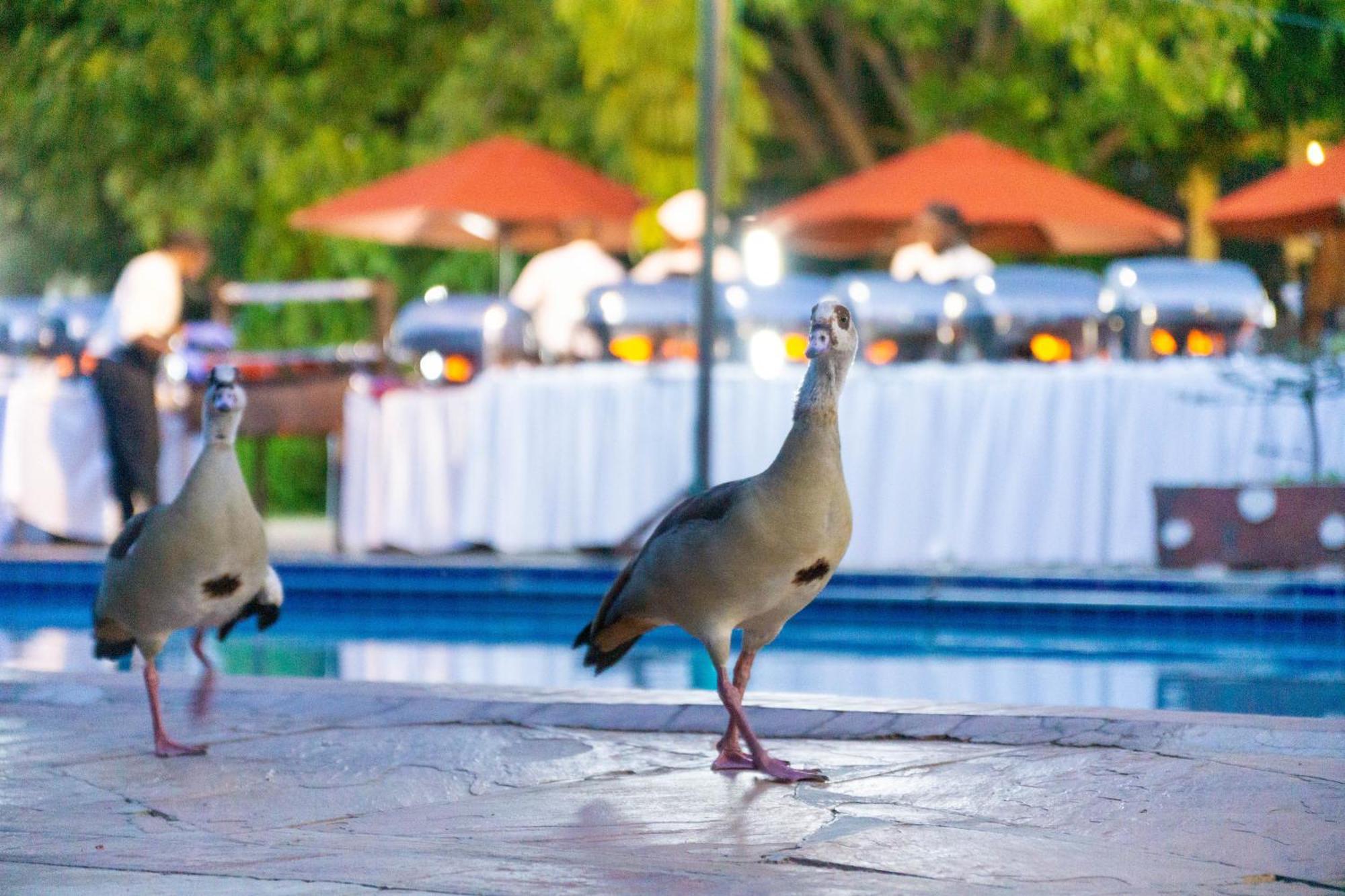 Lukenya Getaway Hotell Athi River Eksteriør bilde