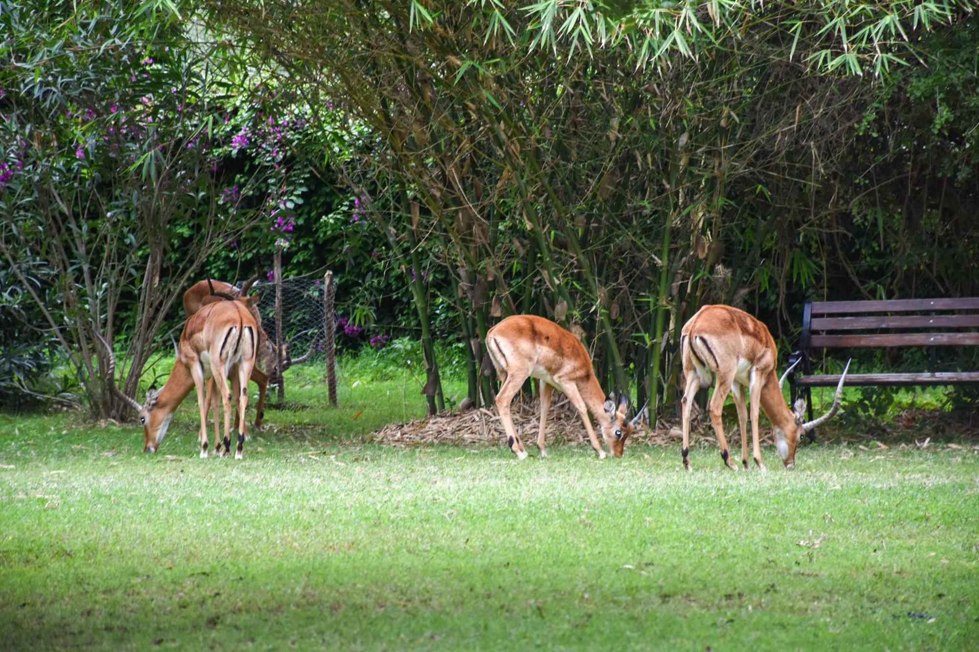 Lukenya Getaway Hotell Athi River Eksteriør bilde